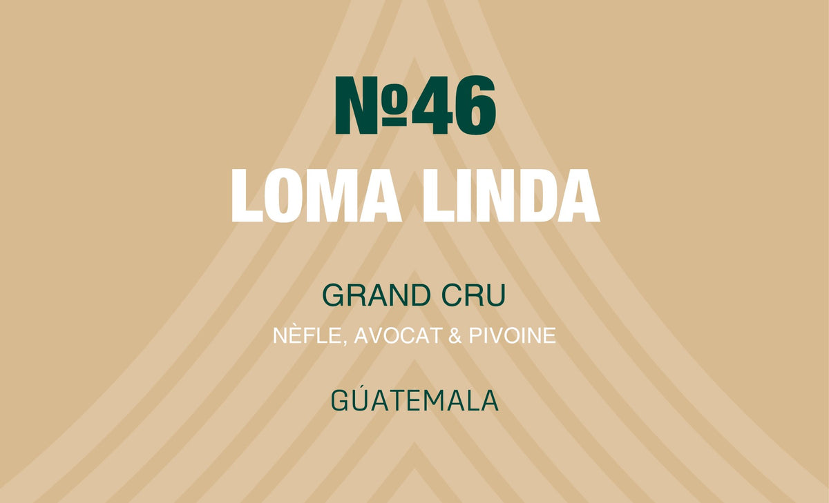 N°46 - Loma Linda - Guatemala
