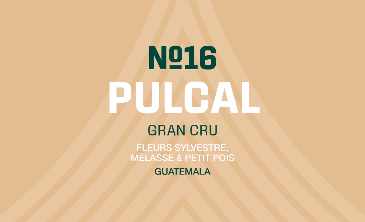N°16 - Pulcal - Guatemala